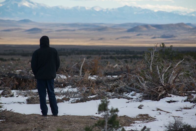 Image: Will Falk surveying the devastation of Pinyon-Juniper deforestation (Photo: Max Wilbert)
